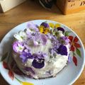 こむぎ大好き 's cooksnap of when they made お花で彩るクリスマスケーキ.