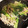さき8888's cooksnap of when they made 豚ひき肉ともやしの変わり炒め.