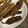 大好きKP's cooksnap of when they made かさごの唐揚げ.
