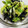 ちくのん's cooksnap of when they made キャベツ＊大量消費＊海苔和え＊簡単.