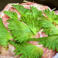 けい♫'s cooksnap of when they made 豚バラと大葉ともやしの酒蒸し.