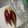 わたるんママ's cooksnap of when they made 野菜保存方法。長生き活き！.