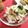 フジぽん's cooksnap of when they made 大根とカニカマのマヨサラダ.