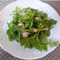 スタイリッシュママ's cooksnap of when they made パクチーとツナのサラダ.