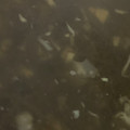 MULA's cooksnap of when they made もずくとセロリのスープ.