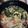 Miaaaaaaam's cooksnap of when they made トマトの味噌汁♫.