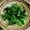 楽楽楽してる's cooksnap of when they made 簡単！のらぼう菜のソテー(菜の花でも).