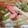 あゆたっくん's cooksnap of when they made セロリとカニカマのマリネ.