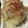 toshio39's cooksnap of when they made 白菜の簡単おひたし.