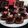 ＝kimi＝'s cooksnap of when they made 私が作る生チョコ.