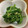 クックHDP0M2☆'s cooksnap of when they made ほうれん草のおひたし.