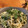 おくっち家's cooksnap of when they made クレソンとしらすの和風パスタ.