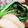 むしゃむしゃもぐもぐ's cooksnap of when they made トロトロ厚揚げの煮物.