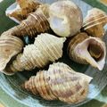 いぐれい's cooksnap of when they made 灯台ツブの塩ゆで.