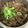課長の土日's cooksnap of when they made 牛蒡と牛肉のがっつり甘辛丼♡.