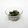 クックDAD's cooksnap of when they made 生姜風味♪鮪とワカメと韮の和え物.