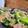 ＊あんずあん＊'s cooksnap of when they made レンジで簡単♪豚肉と小松菜のみぞれ煮.