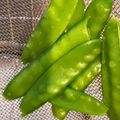 ぶす丸's cooksnap of when they made 絹さや・サヤエンドウの茹で方.