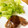 ∞らら∞'s cooksnap of when they made 鮪ほほのわさびソースステーキ菜の花添え.