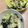 クックRZBUYS☆'s cooksnap of when they made 長ねぎとわかめのナムル QC.