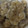 ひぃちゃんひー's cooksnap of when they made 豚小間だんごのおろし煮.