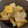 tomupooh's cooksnap of when they made さつまいもと豚バラとネギの中華炒め.