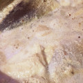 ふぁんころ's cooksnap of when they made 意外と簡単！たけのこの下処理方法.