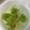 ポークの嫁's cooksnap of when they made ふきのとうの下処理.