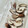 azbjbn's cooksnap of when they made 椎茸の長期保存.