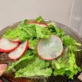 momoetsu's cooksnap of when they made 簡単、ラディッシュとベビーリーフのサラダ.
