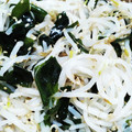 おチョコどの⭐'s cooksnap of when they made 簡単！美味♪腸活♪もやしとわかめのナムル.