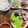 ☆あさ's cooksnap of when they made さっぱり♪ささみの梅紫蘇ロールフライ.