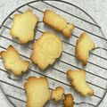 よち福's cooksnap of when they made たべっ子動物風☆メープルバタークッキー.