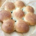 食欲旺盛な私's cooksnap of when they made 知識なくても大丈夫！簡単手作りパン.