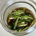 ohashi's cooksnap of when they made 【簡単絶品】島らっきょの葉のポン酢漬け.