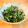 ＊sunlight＊'s cooksnap of when they made ほうれん草の胡麻和え.