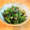 ＊sunlight＊'s cooksnap of when they made ほうれん草の胡麻和え.