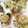 ピースケィ's cooksnap of when they made 誰でも簡単 さくさく ふきのとう 天ぷら.