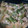 クック38UB4F☆'s cooksnap of when they made スナップエンドウの卵とじ.