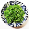 もりもり1187's cooksnap of when they made わさび菜のシンプルサラダ.