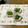 yesmama's cooksnap of when they made 簡単おいし～ぃ♪　菜の花のピーナッツ和え.