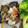 mintsafari's cooksnap of when they made ★超簡単★サバ缶と野菜のマヨチーズ焼き.