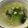 ♡mio1216♡'s cooksnap of when they made 小松菜とじゃがいものお味噌汁.