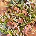 秋の栖's cooksnap of when they made ササミと水菜の柚子胡椒和え.