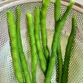 azbjbn's cooksnap of when they made 絶妙☆いんげんの茹で方.