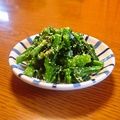 まりみぃ's cooksnap of when they made はなっこりーのごま和え.