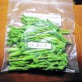 ルチアーノ★★★'s cooksnap of when they made 菜の花は 生のままで冷凍保存　❀.
