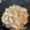 ラルフの台所's cooksnap of when they made 鶏肉と新玉ねぎの塩炒め.