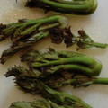 あずきまめっち's cooksnap of when they made たらの芽の下処理.