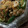MULA's cooksnap of when they made 簡単おつまみ！きゅうりと挽き肉炒め.
